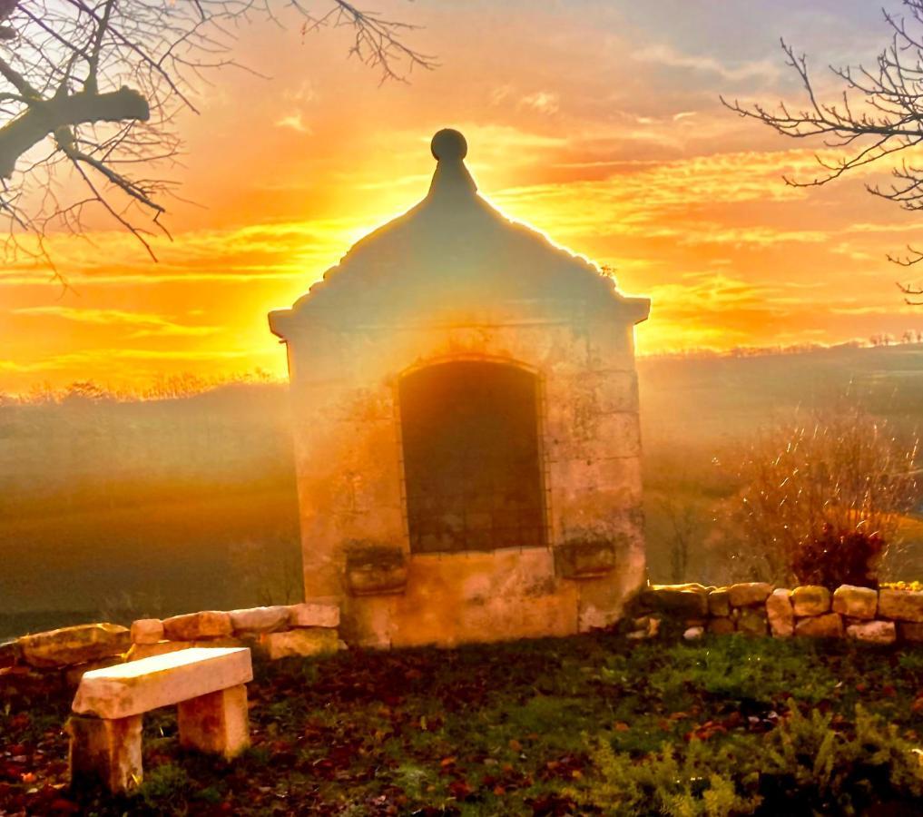 Lamillarié Domaine De Lejos - Portes D'Albi المظهر الخارجي الصورة