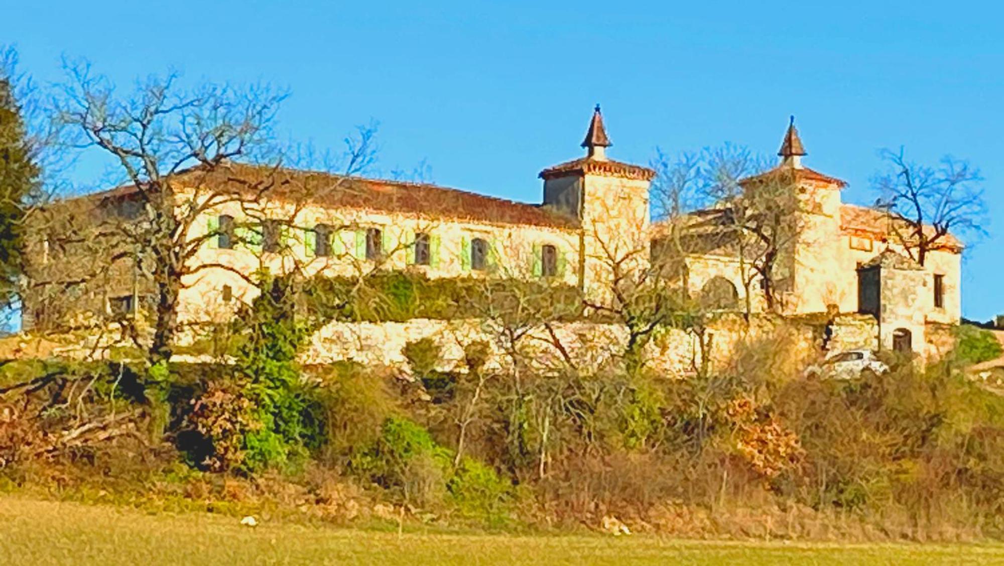 Lamillarié Domaine De Lejos - Portes D'Albi المظهر الخارجي الصورة